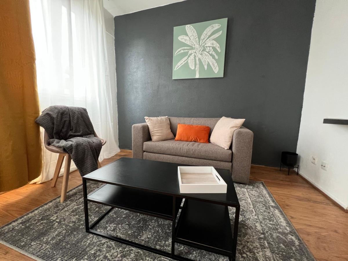 Mon Palmier Grand Appartement Parking Un-Sejour-A-Part Metz Luaran gambar