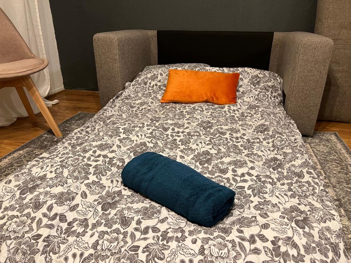 Mon Palmier Grand Appartement Parking Un-Sejour-A-Part Metz Luaran gambar